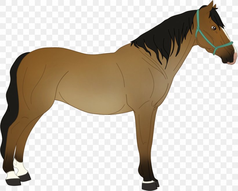 Mane Mustang Stallion Mare Rein, PNG, 900x724px, Mane, Animal Figure, Bridle, Dog Harness, Halter Download Free