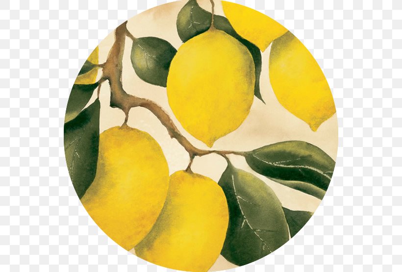 Lemon Citron Orchard Fruit, PNG, 560x555px, Lemon, Art, Citron, Citrus, Drawing Download Free