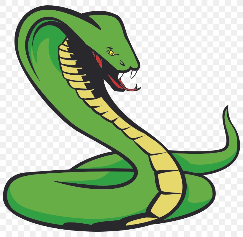 Snakes Tattoo Clip Art Vector Graphics, PNG, 800x800px, Snakes, Animal Figure, Artwork, Green, King Cobra Download Free