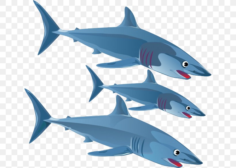 Blue Shark Great White Shark Clip Art, PNG, 650x585px, Shark, Blue Shark, Bull Shark, Cartilaginous Fish, Drawing Download Free