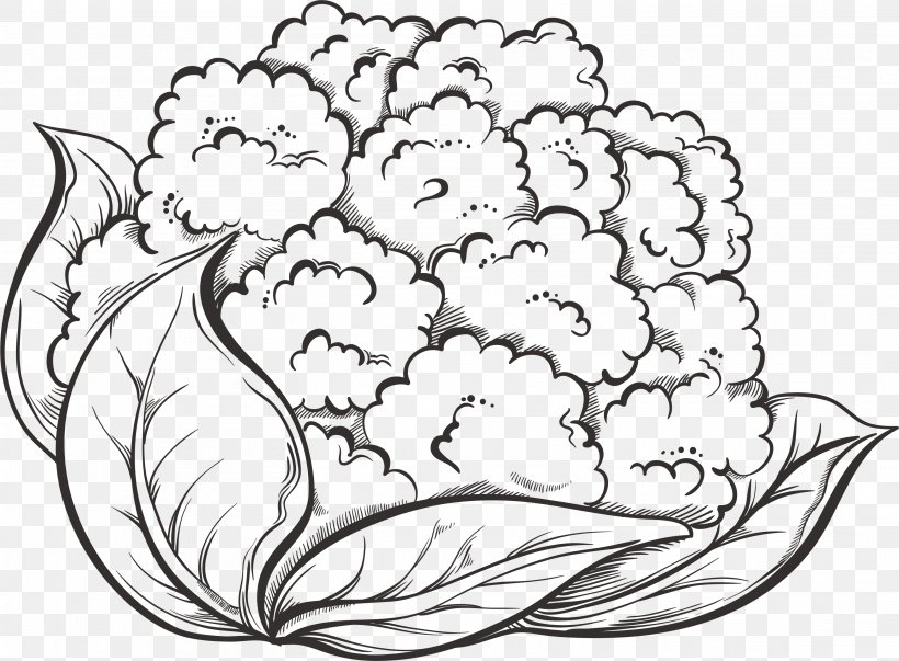 Cauliflower Drawing Vegetable Broccoli, PNG, 3131x2305px, Cauliflower, Area, Art, Artwork, Black And White Download Free