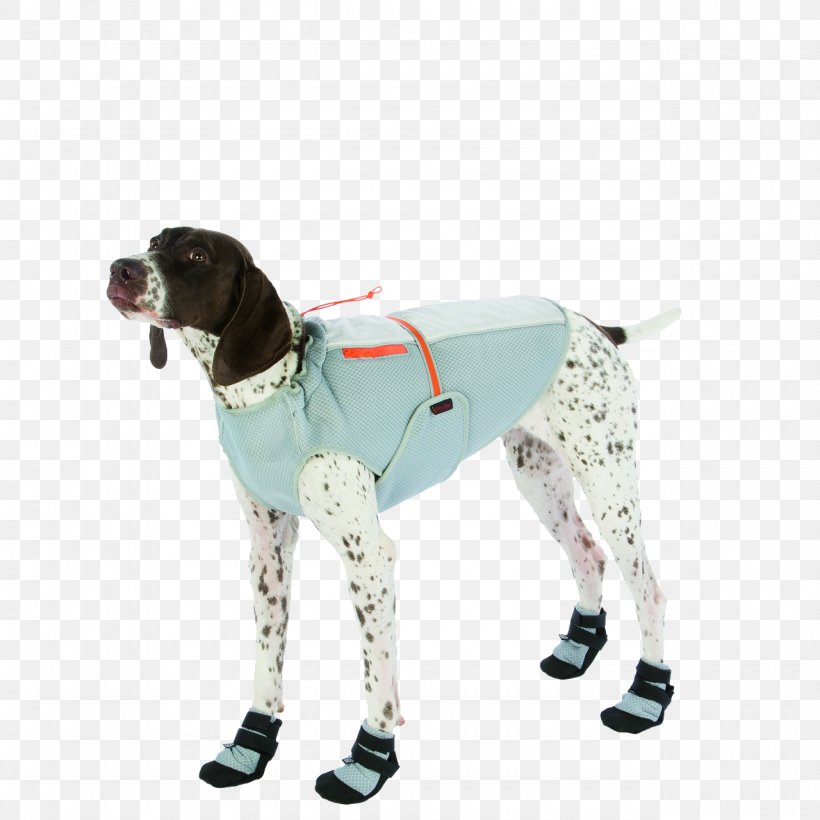 Dog Breed Dog Booties Waistcoat, PNG, 1280x1280px, Dog, Belt, Cardigan, Coat, Dog Booties Download Free