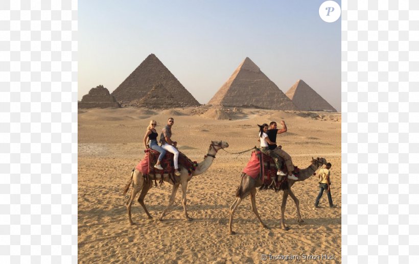 Egypt Reality Television Model Celebrity Kourtney Kardashian, PNG, 950x599px, Egypt, Camel, Camel Like Mammal, Celebrity, E News Download Free