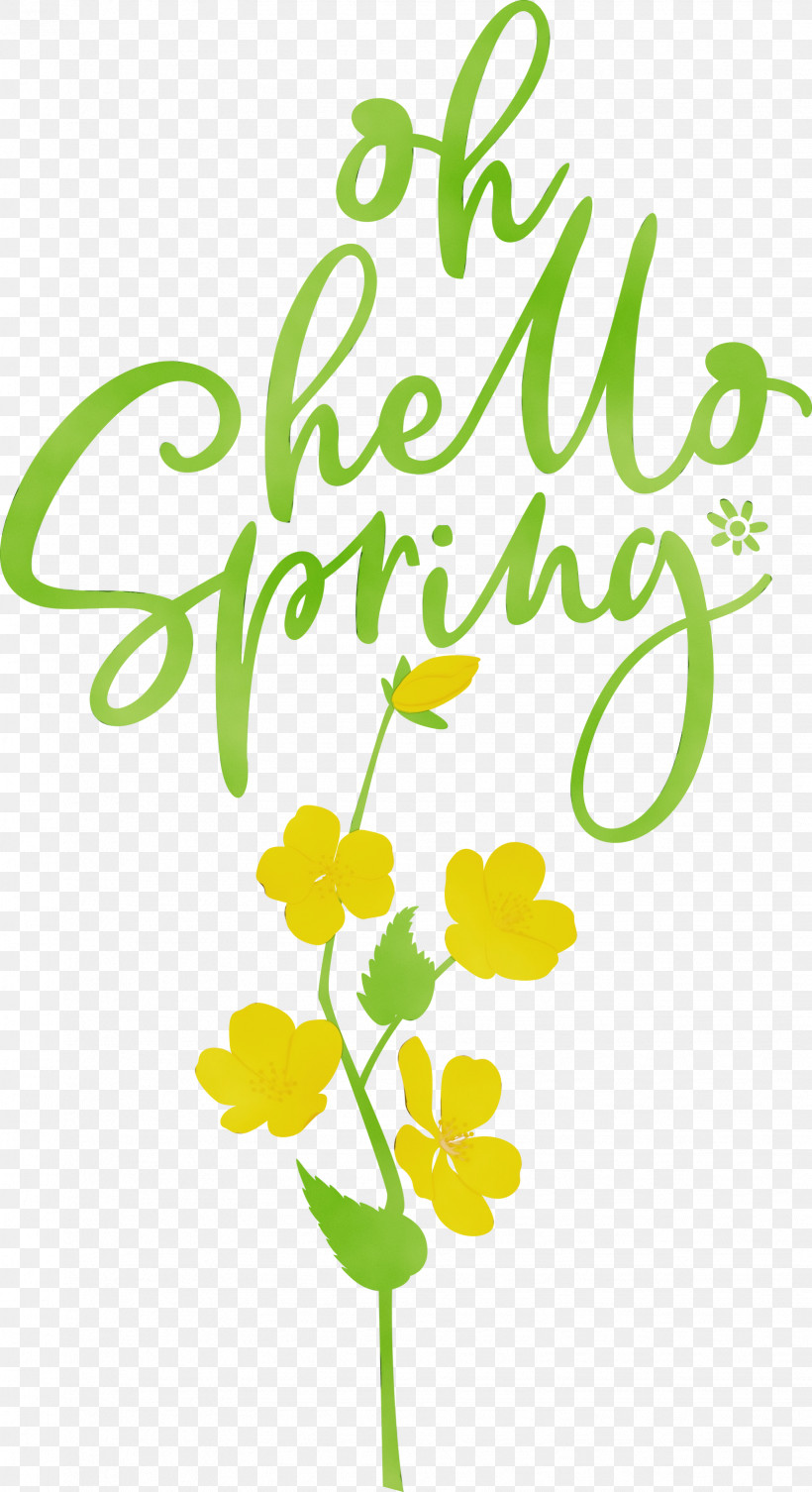 Floral Design, PNG, 1633x3000px, Hello Spring, Editing, Floral Design, Paint, Pixlr Download Free