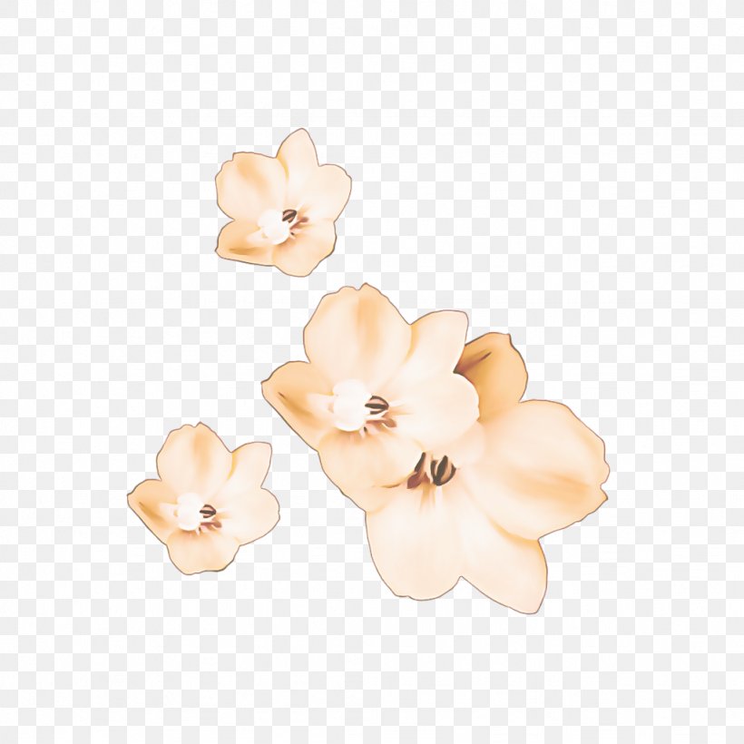 Flowers Background, PNG, 1024x1024px, Earring, Beige, Blossom, Body Jewellery, Cut Flowers Download Free