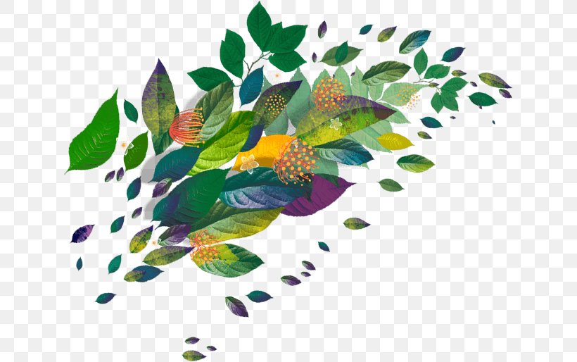 Ilex Guayusa Amazon Rainforest Tea Leaf Petal, PNG, 639x514px, Ilex Guayusa, Amazon Rainforest, Antioxidant, Branch, Energy Drink Download Free