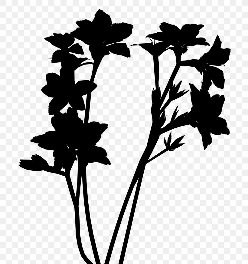 Twig Clip Art Flower Plant Stem Leaf, PNG, 753x872px, Twig, Blackandwhite, Botany, Branch, Flower Download Free