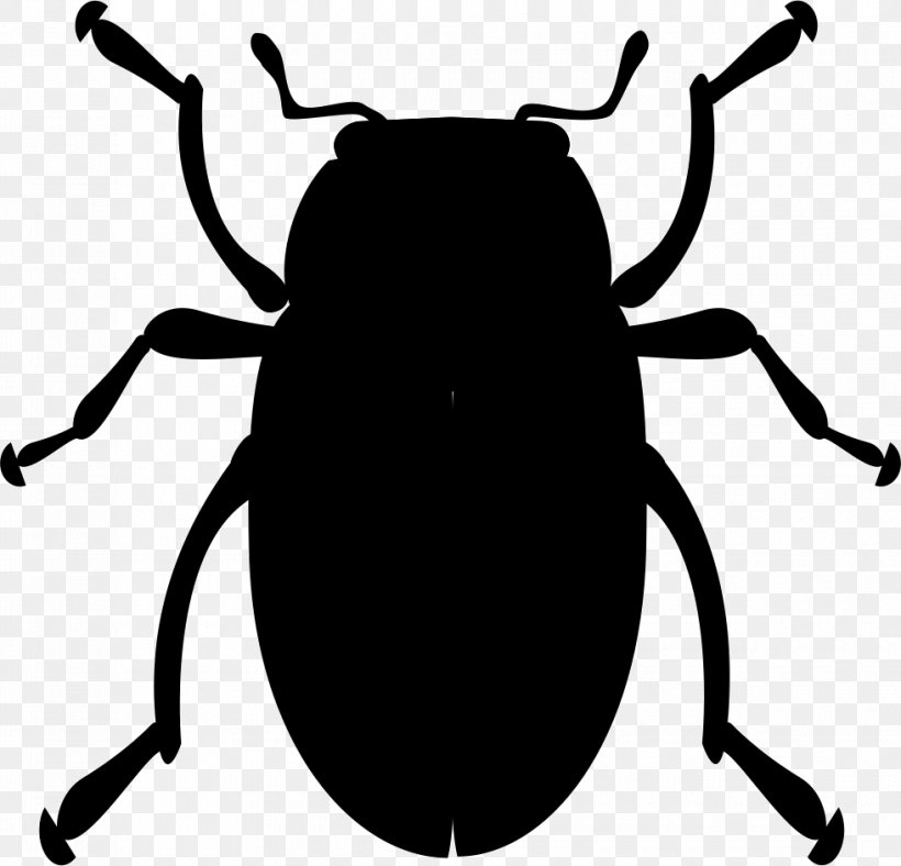 Volkswagen Beetle Ladybird Beetle Clip Art, PNG, 980x942px, Volkswagen Beetle, Arthropod, Artwork, Beetle, Bitmap Download Free