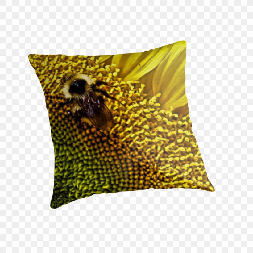 Honey Bee Cushion, PNG, 875x875px, Honey Bee, Bee, Cushion, Honey, Insect Download Free