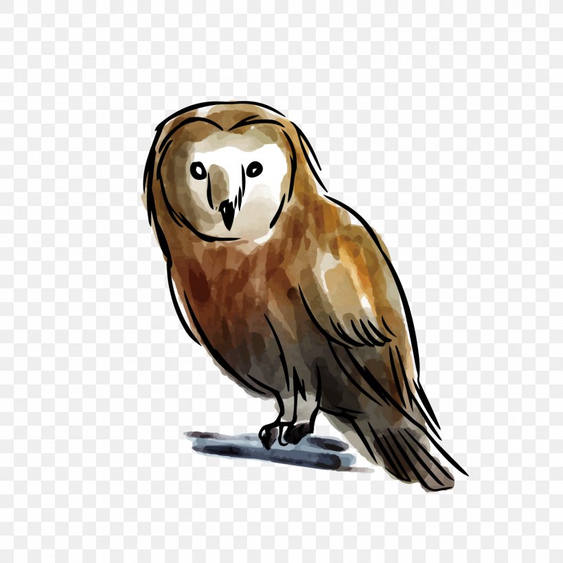 Owl, PNG, 1500x1500px, Owl, Animal, Animal Sauvage, Beak, Bird Download Free