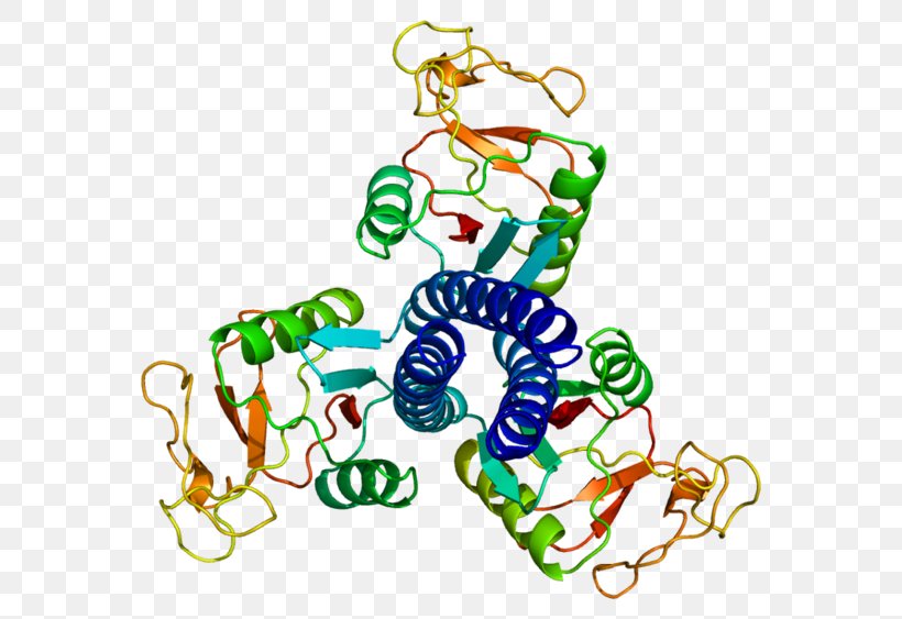 Pulmonary Surfactant Protein D Surfactant Protein A Pulmonary Surfactant Protein D Lectin, PNG, 600x563px, Pulmonary Surfactant, Area, Body Jewelry, Collectin, Complement System Download Free