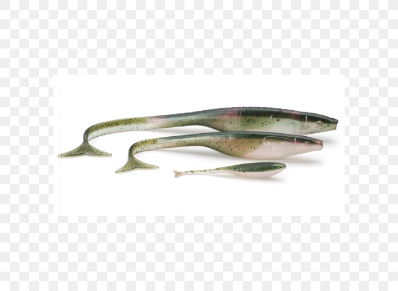 Spoon Lure V-tail Rudolfstetten-Friedlisberg Bait Fish Information, PNG, 600x600px, Spoon Lure, Bait, Bait Fish, European Pilchard, Facebook Download Free