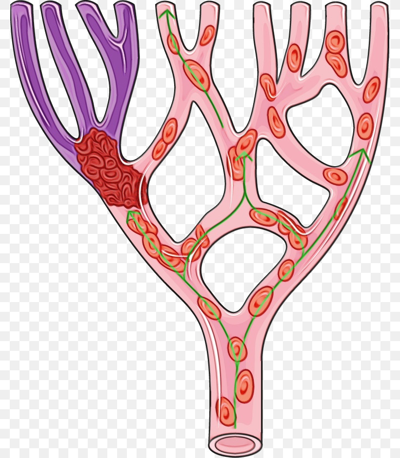 Antler Pink M Line M-tree Tree, PNG, 777x940px, Watercolor, Antler, Line, Mtree, Paint Download Free