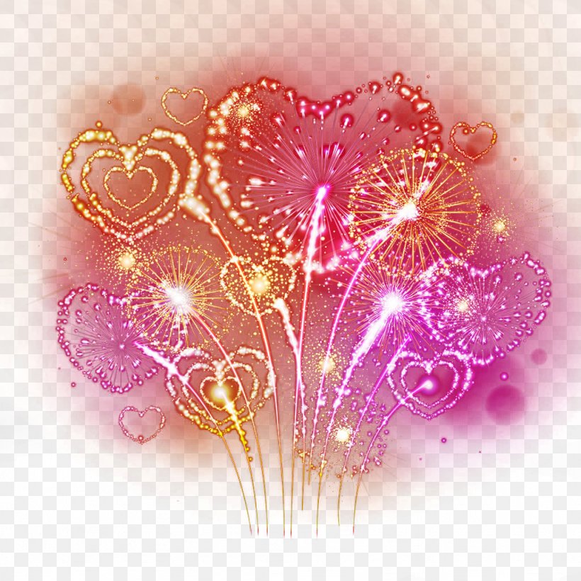Fireworks Heart Photography Illustration, PNG, 1024x1024px, Fireworks, Art, Bonfire Night, Flower, Heart Download Free