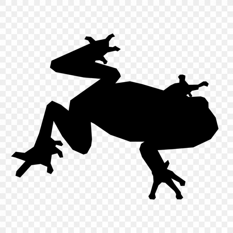 Frog Toad Control Key, PNG, 1200x1200px, Frog, Amphibian, Black And White, Control Key, Horse Like Mammal Download Free