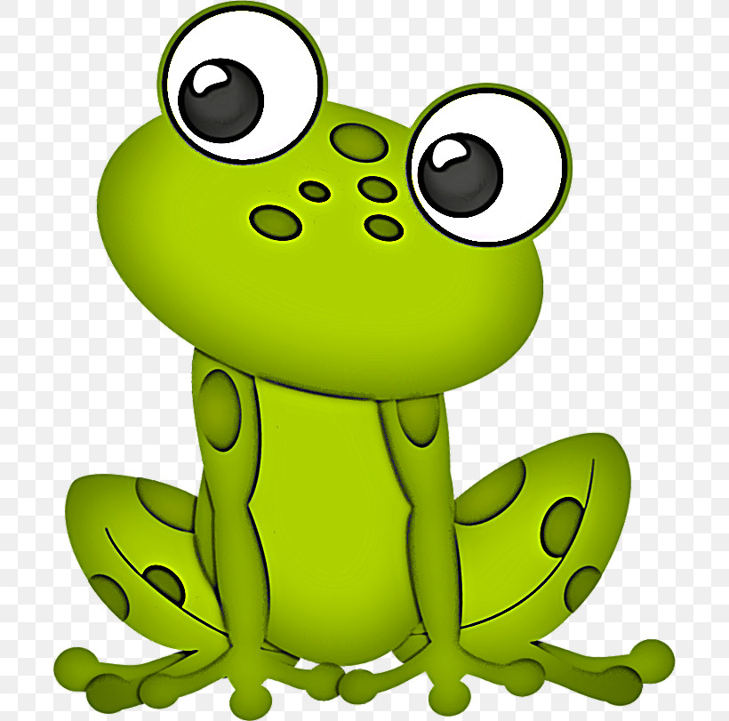 Green Frog True Frog Cartoon Tree Frog, PNG, 700x811px, Green, Cartoon, Frog, Hyla, Toad Download Free