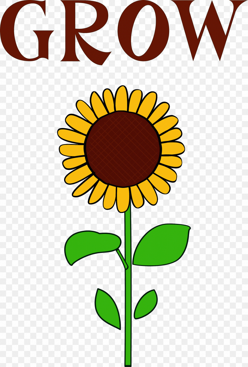 GROW Flower, PNG, 2027x3000px, Grow, Art Deco, Art Museum, Common Sunflower, Drawing Download Free