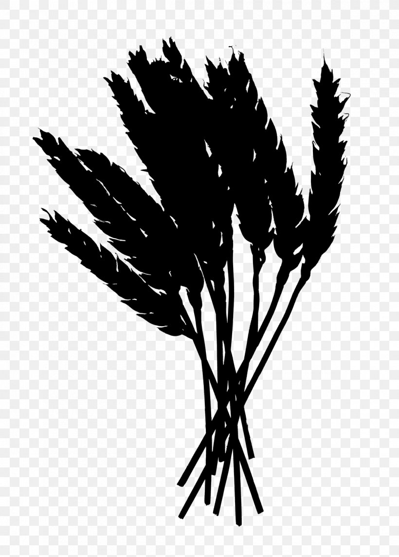 Palm Trees Black Leaf Plant Stem Silhouette, PNG, 1200x1675px, Palm Trees, Black, Blackandwhite, Botany, Branch Download Free