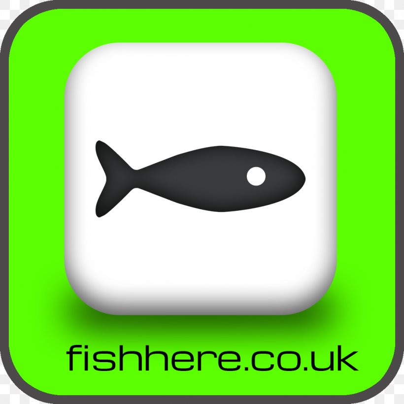 Recreational Fishing Angling Catch And Release Blog, PNG, 1100x1100px, Fishing, Angling, Appin, Area, Blog Download Free
