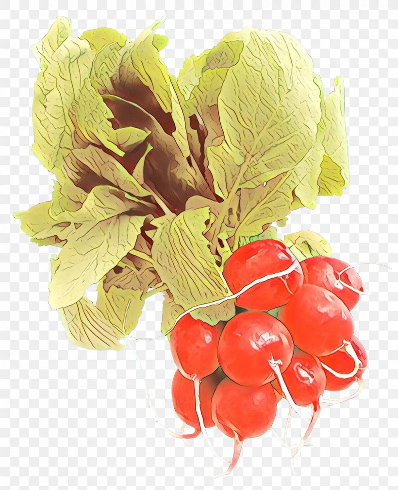 Vegetable Food Natural Foods Leaf Plant, PNG, 1220x1500px, Cartoon, Berry, Flower, Food, Leaf Download Free