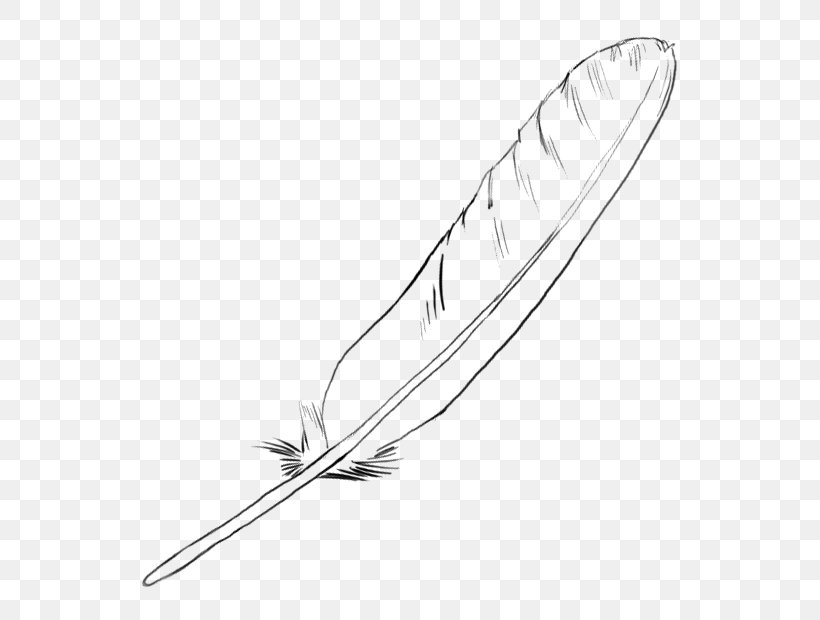 Feather Line Art Drawing, PNG, 590x620px, Feather, Art, Black And White, Cold Weapon, Color Download Free