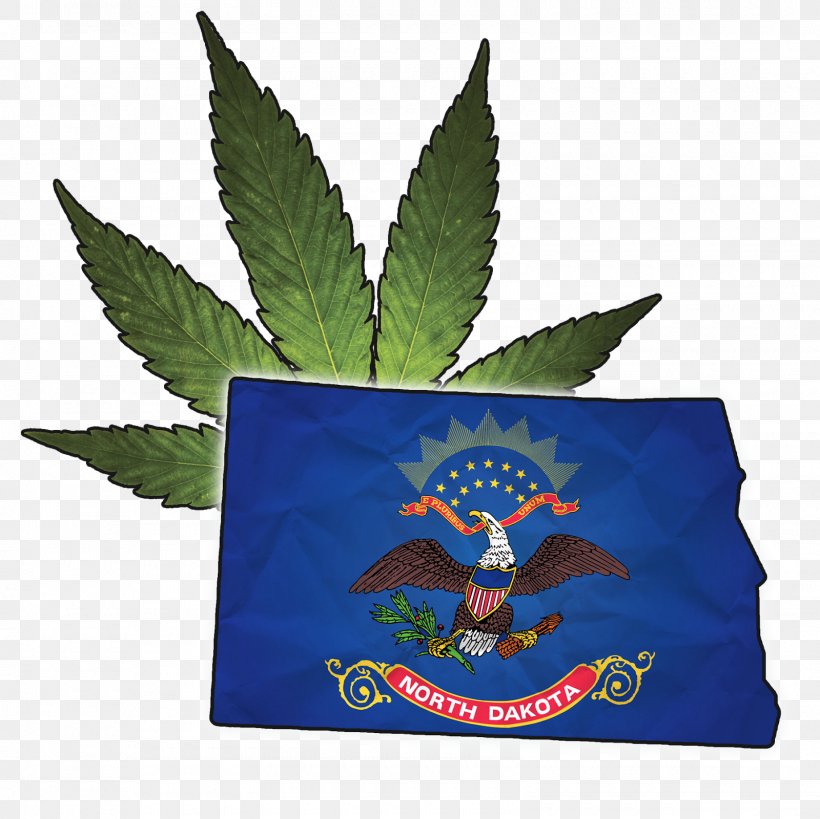 New Jersey North Dakota Leaf U.S. State Flag, PNG, 1600x1600px, New Jersey, Flag, Garden, Leaf, North Dakota Download Free