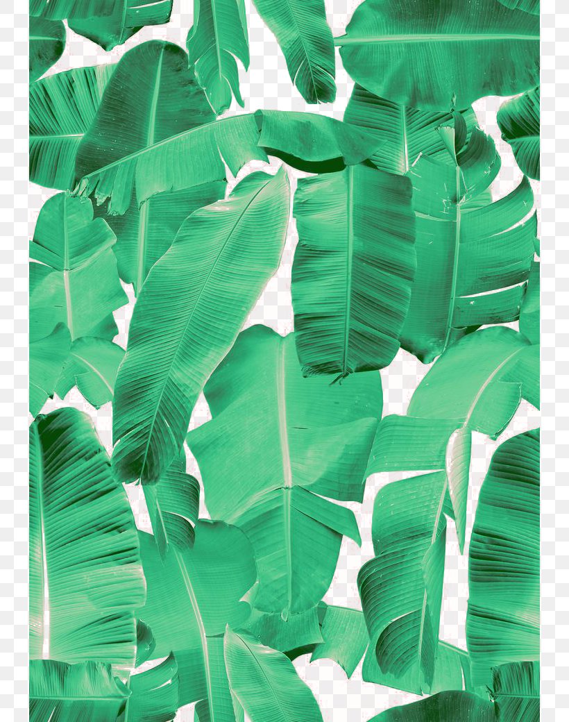 Banana Leaf Picture Frame Interior Design Services Flower, PNG, 736x1040px, Lake Forest, Banana, Banana Leaf, Drawing, Frond Download Free
