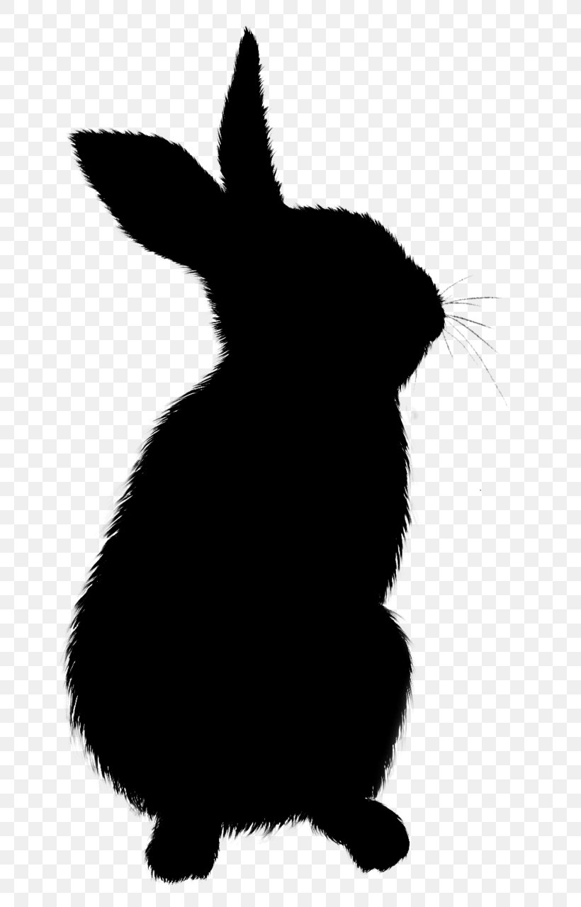Domestic Rabbit Whiskers Hare Cat Paw, PNG, 762x1280px, Domestic Rabbit, Blackandwhite, Cat, Fauna, Hare Download Free