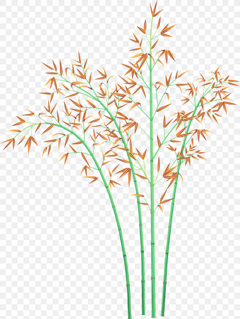 Grass Plant Flower Grass Family Plant Stem, PNG, 2255x3000px, Bamboo, Aquarium Decor, Cut Flowers, Elymus Repens, Flower Download Free