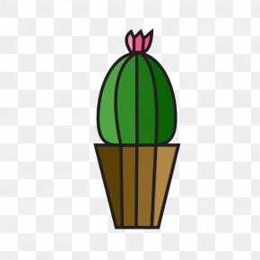 Cactus - Mammillaria Cactus Flowers Plant Prickly Pear PNG