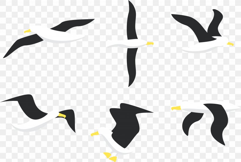 Penguin Bird Albatross Gulls, PNG, 5426x3647px, Penguin, Albatross, Beak, Bird, Brand Download Free