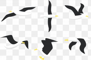 Flight Of The Albatross - Penguin Bird Albatross Gulls PNG