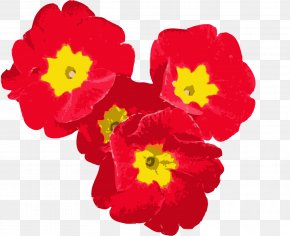 Flower - Red Flower Yellow Petal Purple PNG