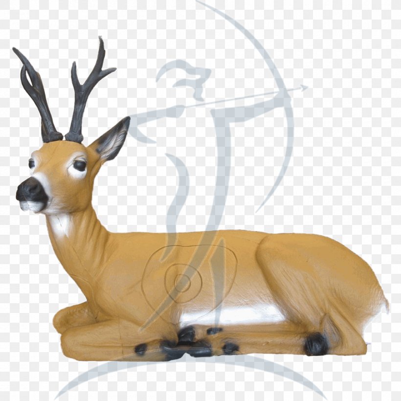 Shooting Targets Reindeer Roe Deer LongLife Liegender Rehbock Archery, PNG, 900x900px, Shooting Targets, Animal, Antelope, Antler, Archery Download Free
