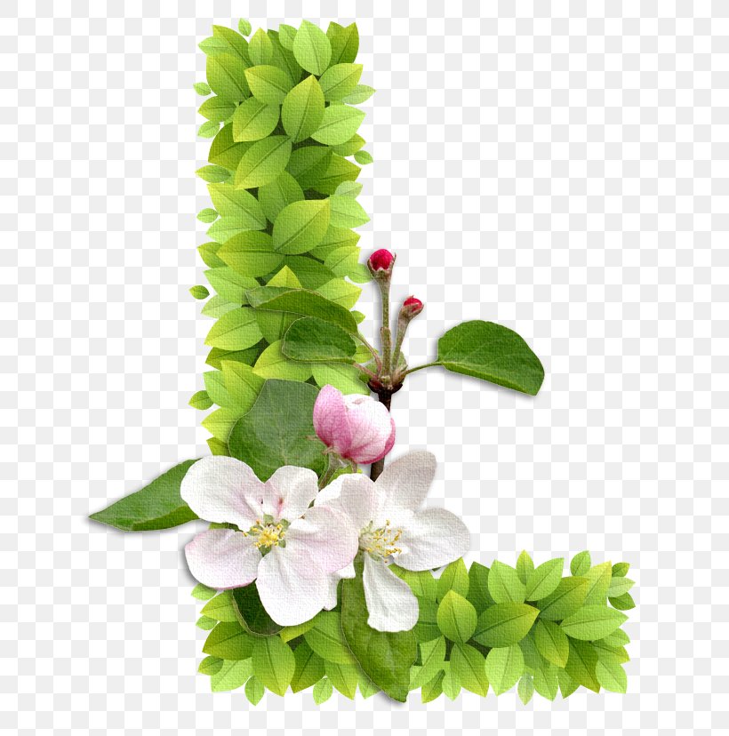 Floral Design Alphabet Letter Castle School, PNG, 649x828px, Floral Design, Alphabet, Castle, Cut Flowers, Early Childhood Education Download Free