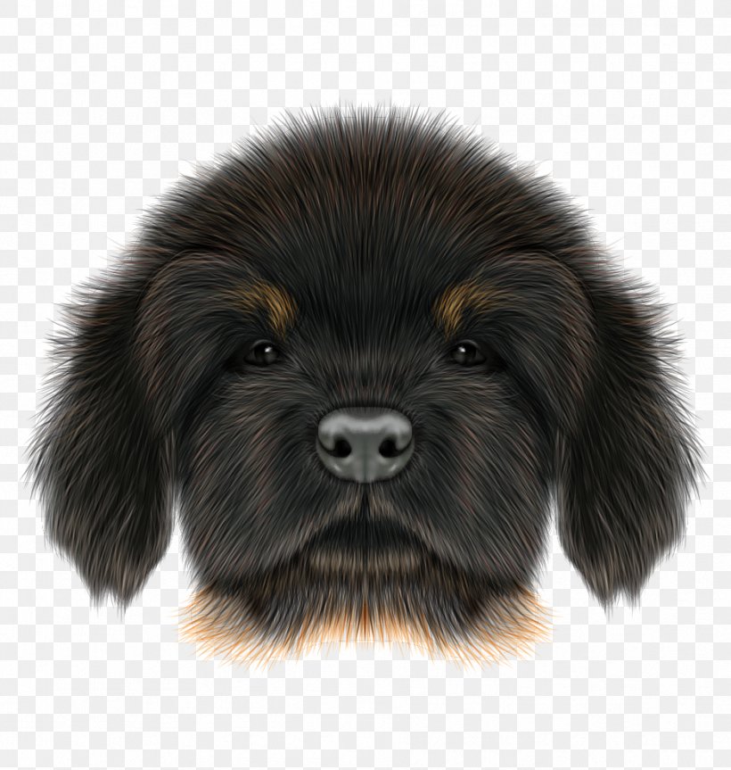 Hand-painted Cartoon Dog Fancier Avatar, PNG, 937x987px, Tibetan Mastiff, African Wild Dog, Carnivoran, Companion Dog, Cuteness Download Free