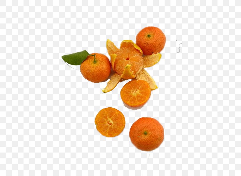 Clementine Mandarin Orange Bitter Orange Rangpur Citrus Xd7 Sinensis, PNG, 600x600px, Clementine, Bitter Orange, Candy, Citric Acid, Citrus Download Free
