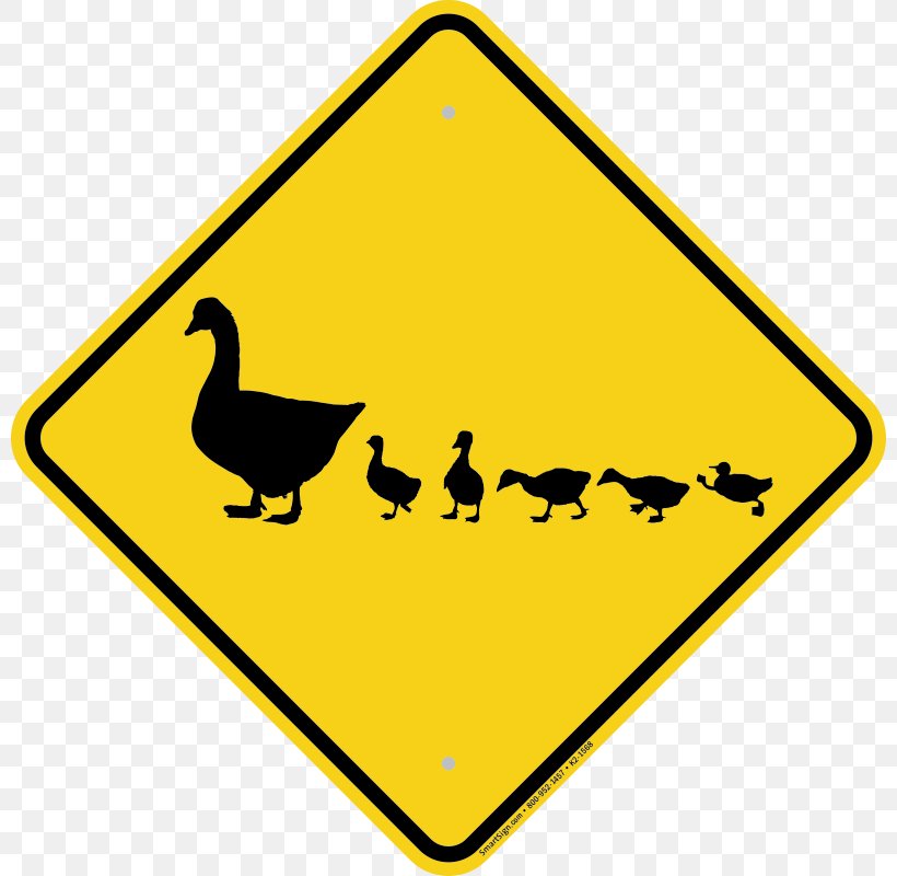 Duck Crossing Goose Traffic Sign Road, PNG, 800x800px, Duck, Anatidae, Area, Beak, Bird Download Free