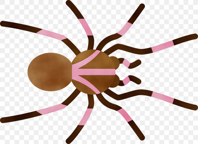Line, PNG, 3000x2187px, Cartoon Spider, Line, Paint, Watercolor, Wet Ink Download Free