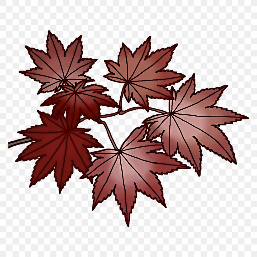 Maple Leaf, PNG, 1400x1400px, Maple Leaf, Art Museum, Cartoon, Drawing, Leaf Download Free