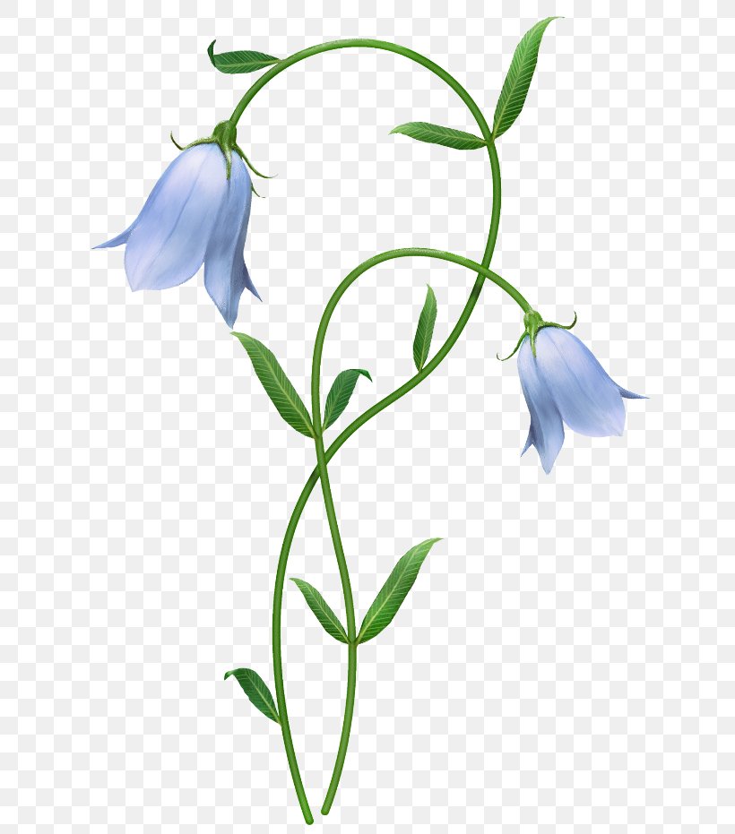 Flower Blue Harebell Clip Art, PNG, 650x931px, Flower, Bellflower, Bellflower Family, Blue, Blue Rose Download Free
