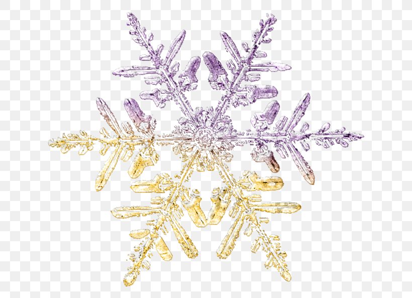 Brooch Purple Snowflake Twig, PNG, 700x593px, Brooch, Jewellery, Purple, Snowflake, Twig Download Free