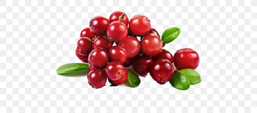 Cranberry Juice Strawberry Fruit, PNG, 500x360px, Cranberry, Acerola, Acerola Family, Berry, Bilberry Download Free