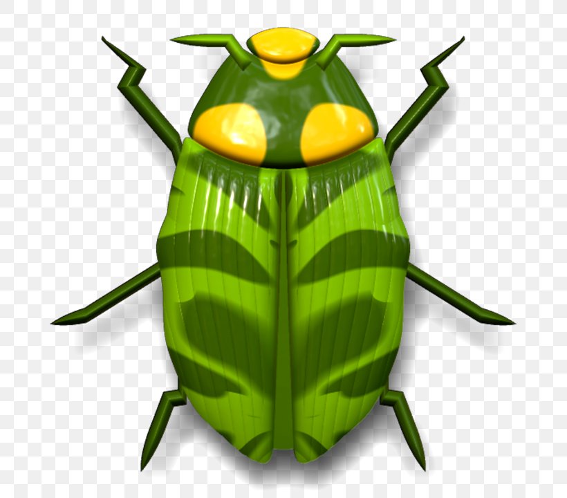 Insect Download Clip Art, PNG, 720x720px, Insect, Animal, Beetle, Green, Insect Wing Download Free