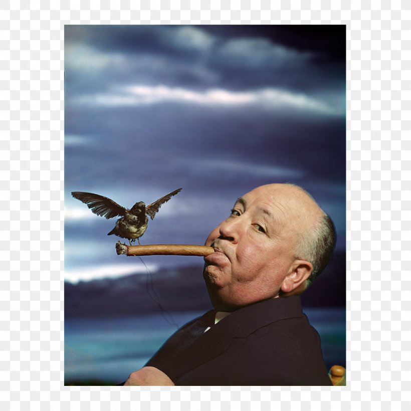 Philippe Halsman: Astonish Me! Galerie Nationale Du Jeu De Paume Photography Photographer, PNG, 1000x1000px, Philippe Halsman, Art, Artist, Beak, Celebrity Download Free