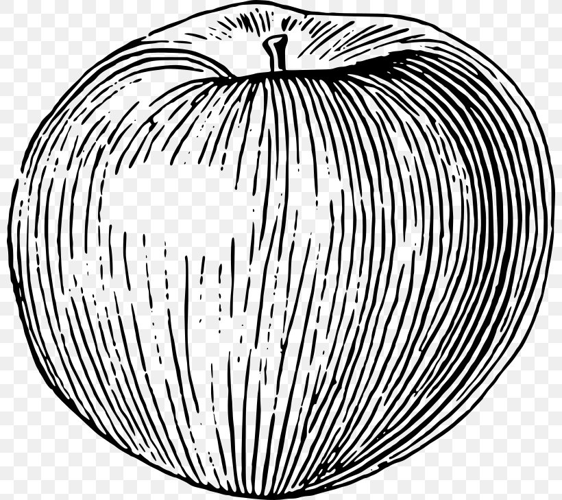 Candy Apple Drawing Fruit, PNG, 800x729px, Candy Apple, Apple, Apples, Banana, Black And White Download Free
