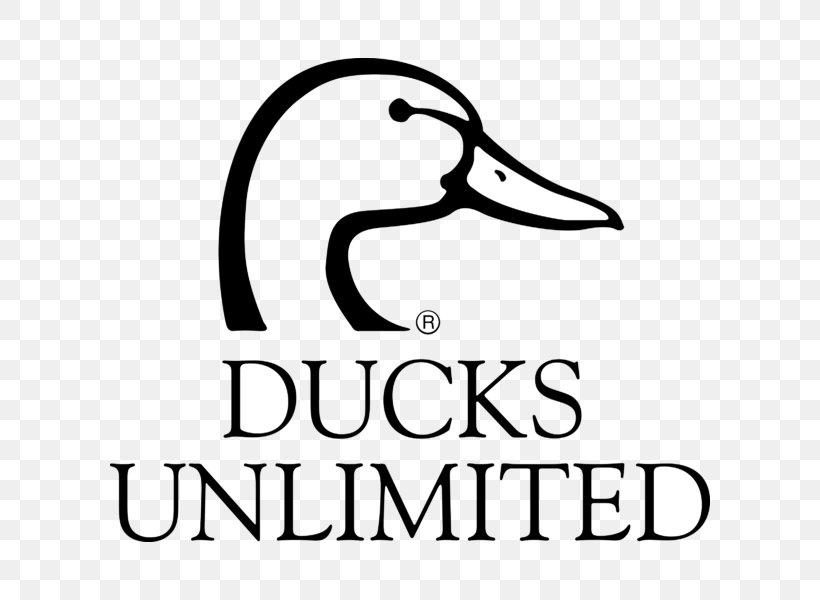 Ducks Unlimited Logo Water Bird Goose, PNG, 800x600px, Duck, Area, Beak, Black And White, Brand Download Free