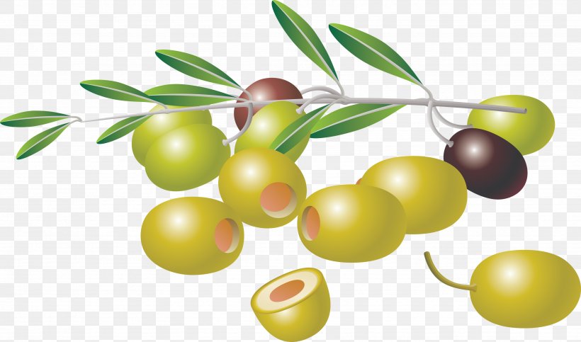 Olive Branch Clip Art, PNG, 3503x2066px, Olive, Apple, Food, Fruit, Natural Foods Download Free