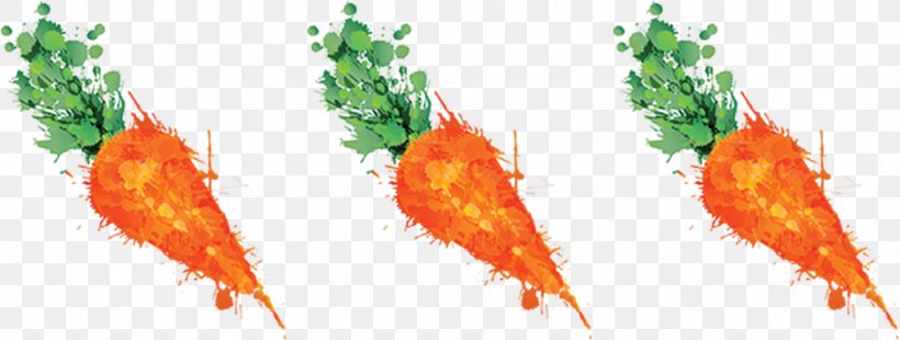 Carrot Juice Vegetable Romanesco Broccoli, PNG, 1042x395px, Carrot, Broccoflower, Carrot Juice, Fruit, Grass Download Free