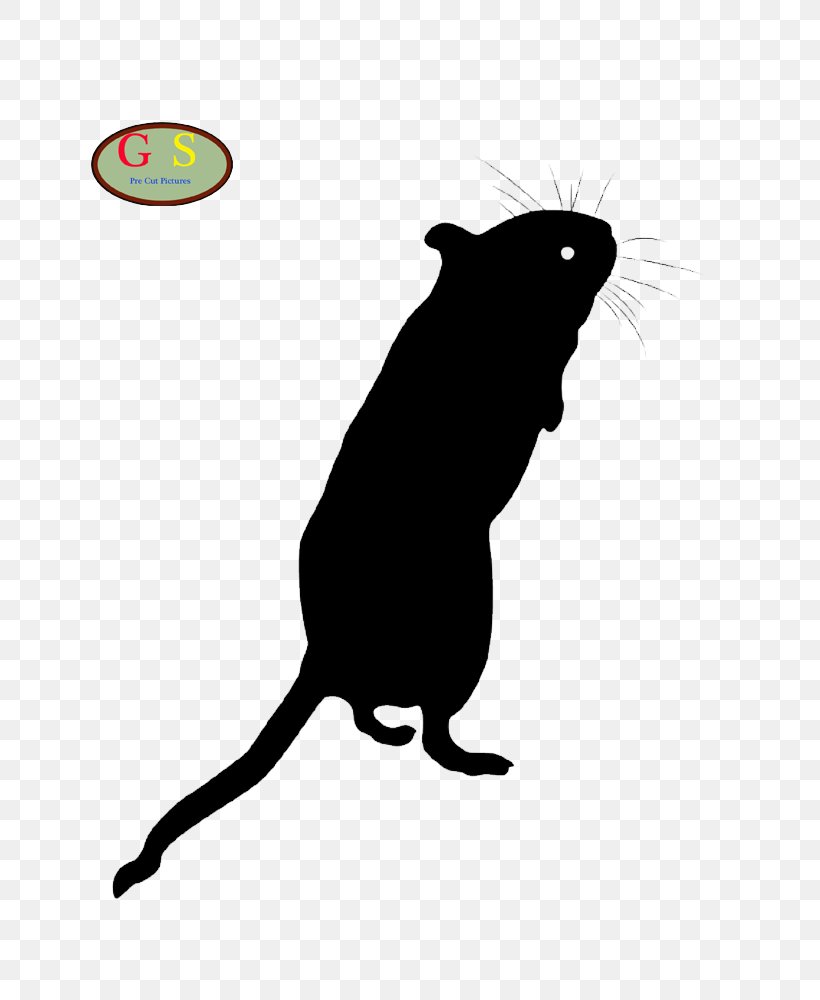 Hamster T-shirt Whiskers Clothing Pet, PNG, 800x1000px, Hamster, Animal, Apartment, Black, Black And White Download Free